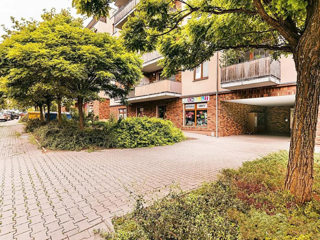Pronájem bytu 1+kk 40 m2