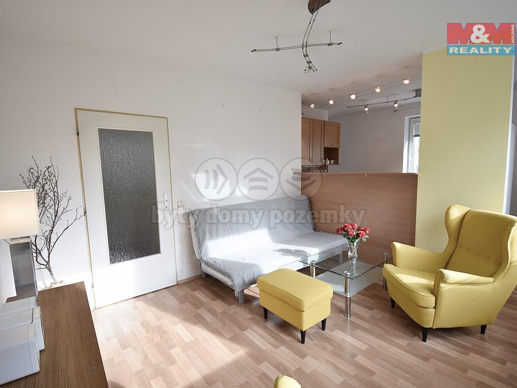 Pronajem bytu atypicky 47 m2