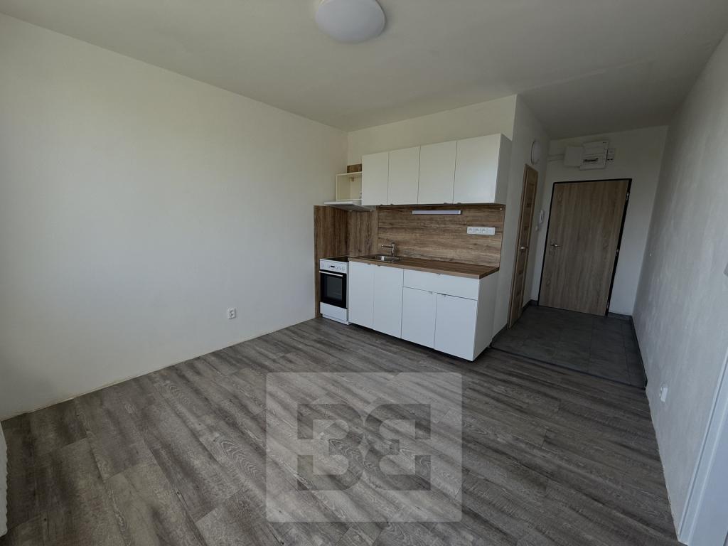 Pronájem bytu 1+1 36 m2