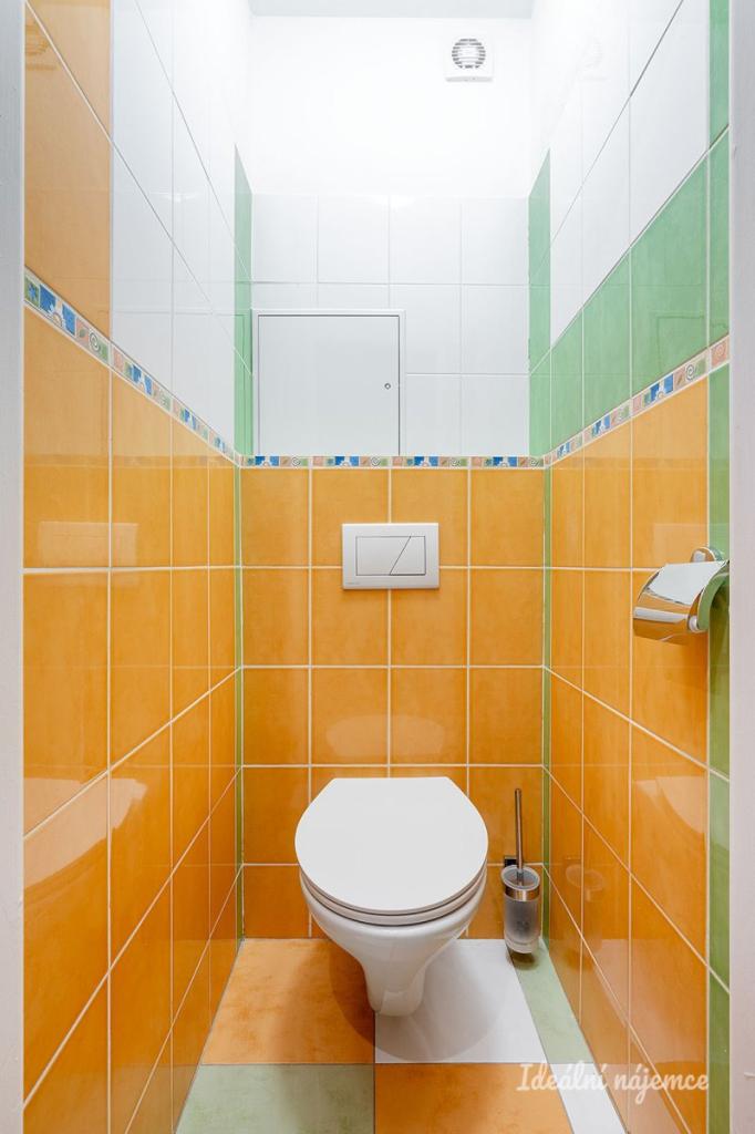 Pronájem bytu 2+1 45 m2, Praha – náhled fotky 11