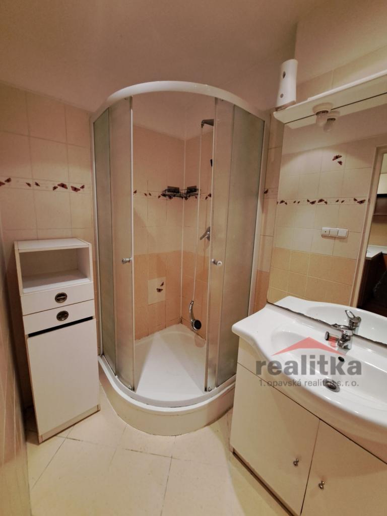 Pronájem bytu 1+1 46 m2
