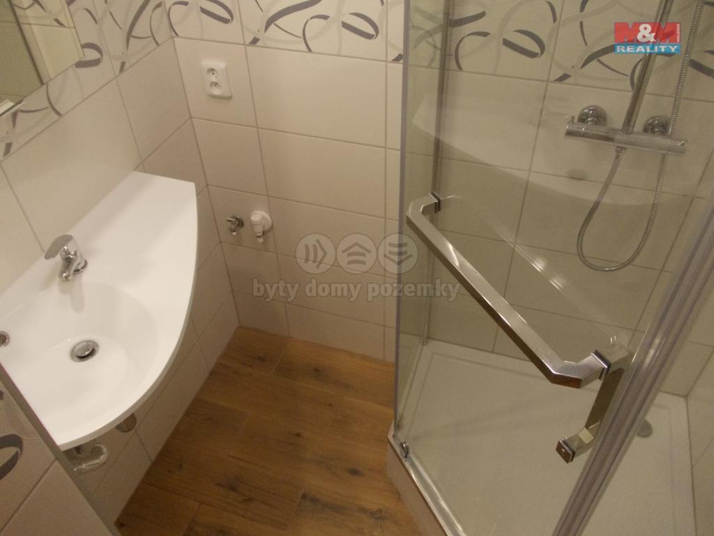 Pronajem bytu 2+1 56 m2