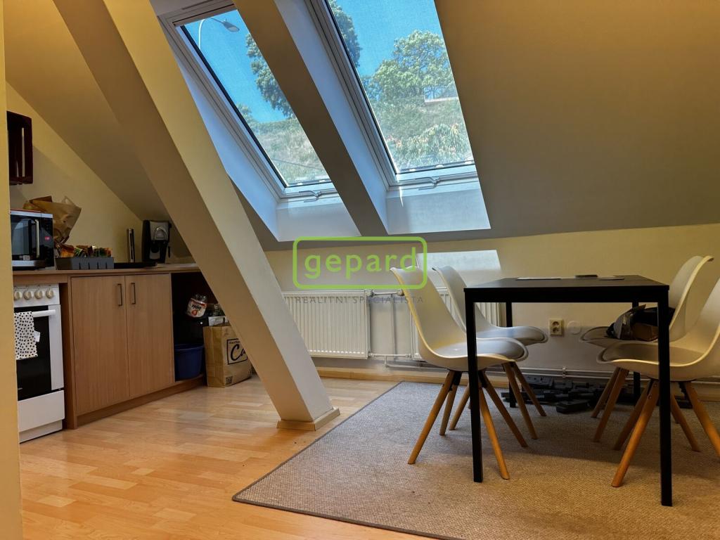 Pronájem bytu 1+1 55 m2