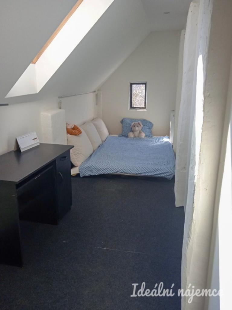 Pronájem bytu 1+1 35 m2