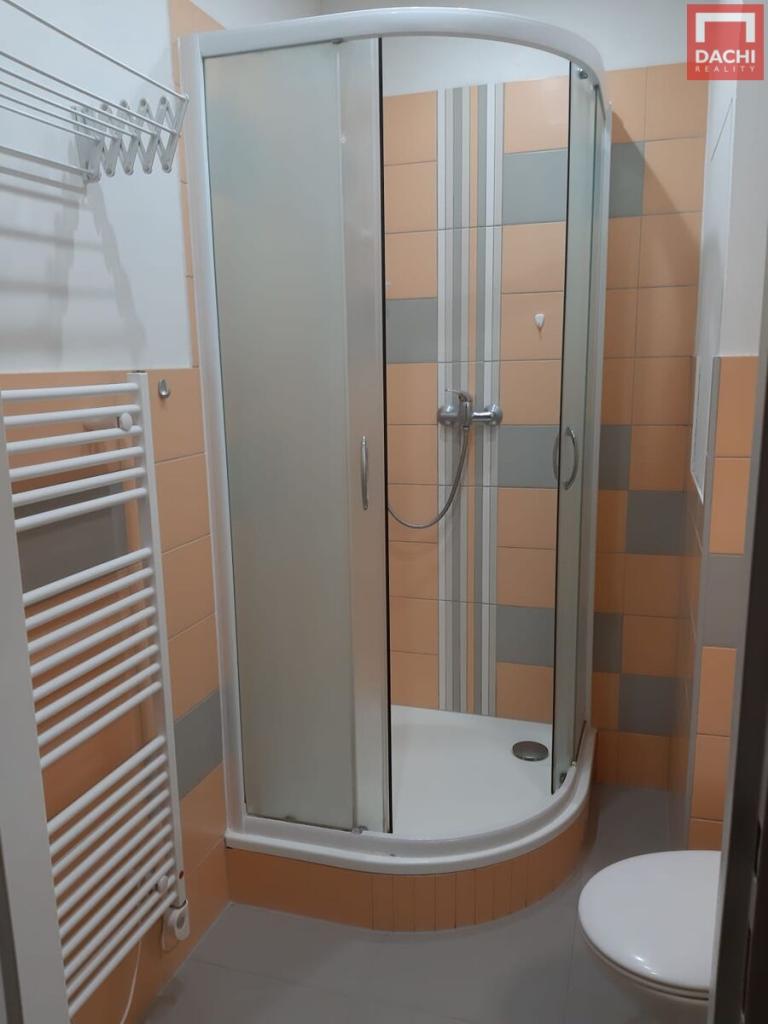 Pronájem bytu 1+kk 30 m2