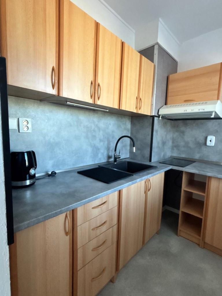 Pronájem bytu 1+kk 39 m2