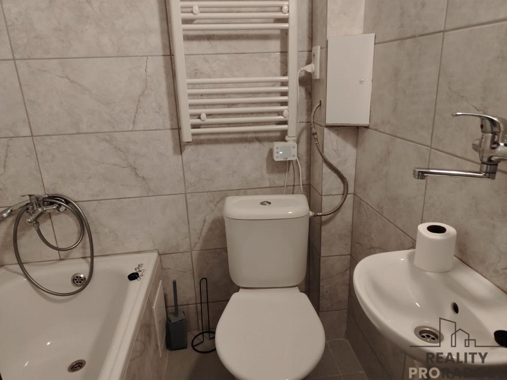 Pronájem bytu 1+1 42 m2