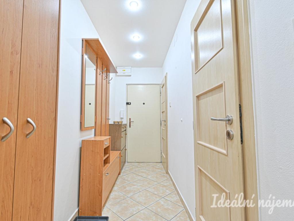 Pronájem bytu 2+1 58 m2, Brno – náhled fotky 13