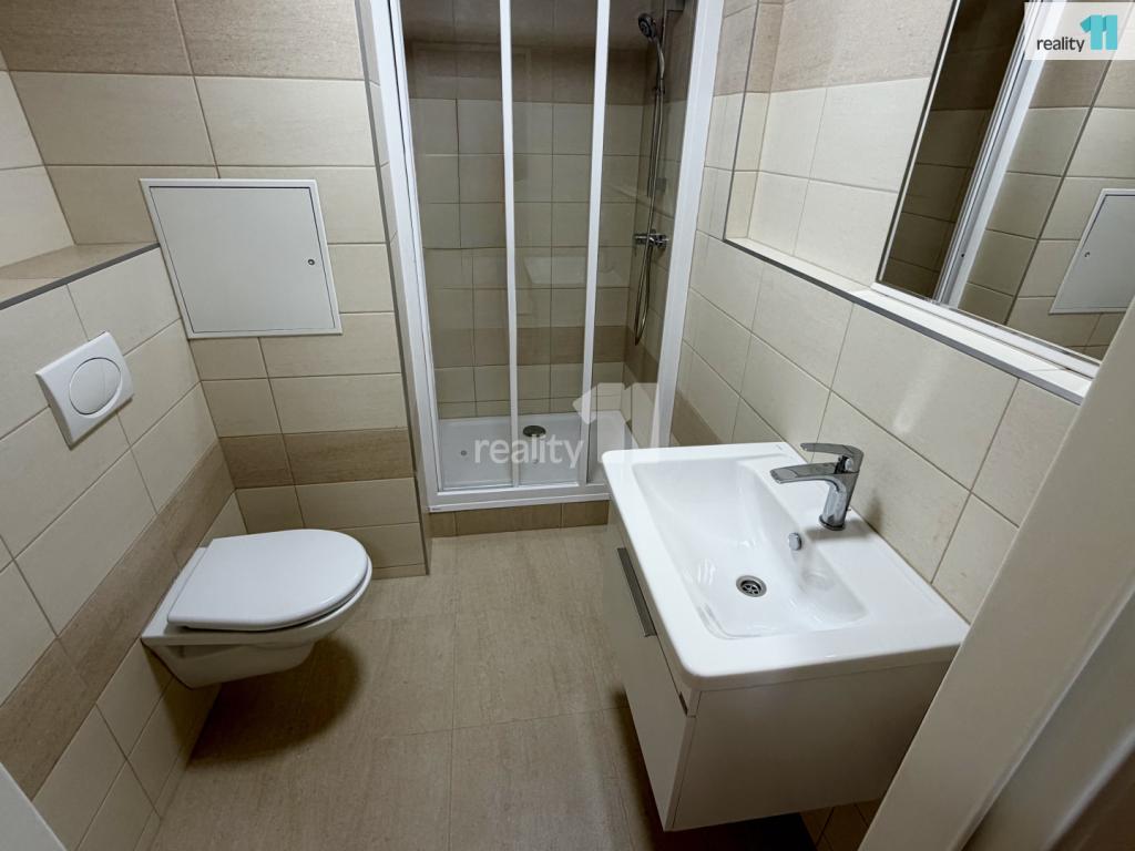 Pronájem bytu 1+kk 31 m2