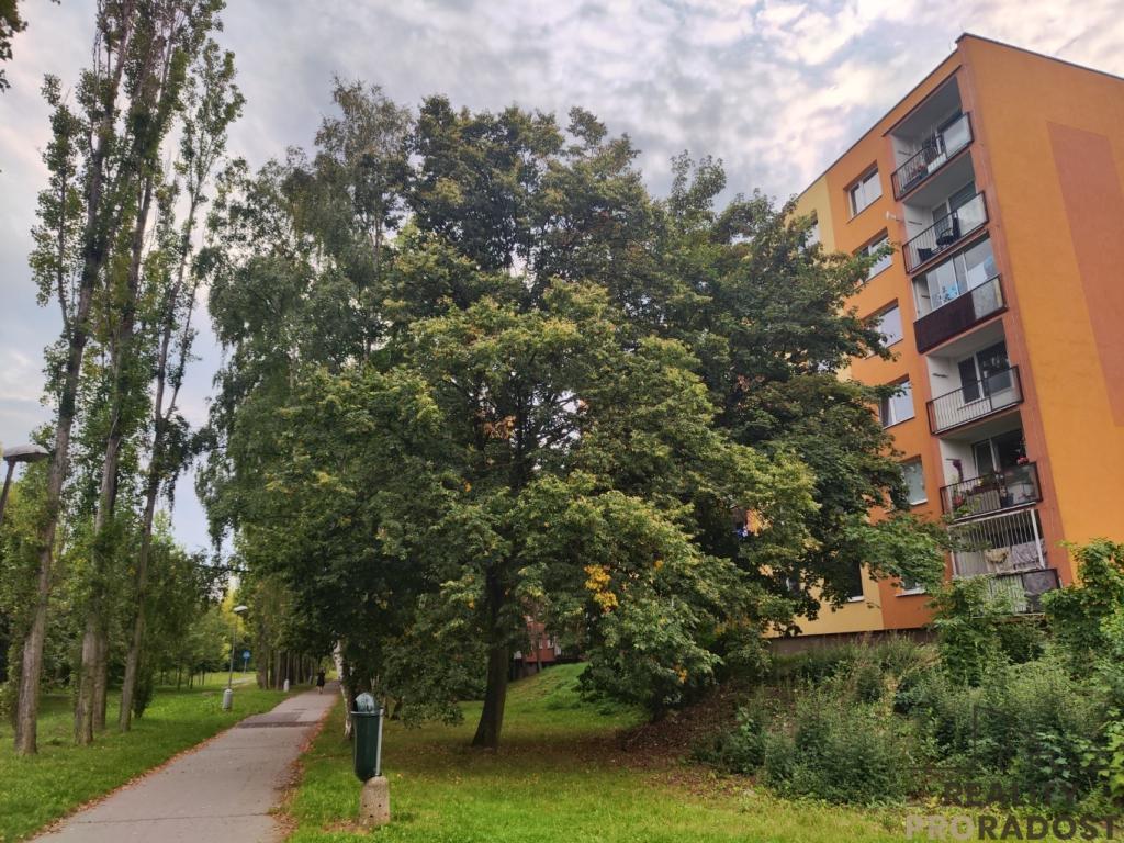 Prodej bytu 3+1 81 m2, Chomutov – náhled fotky 14