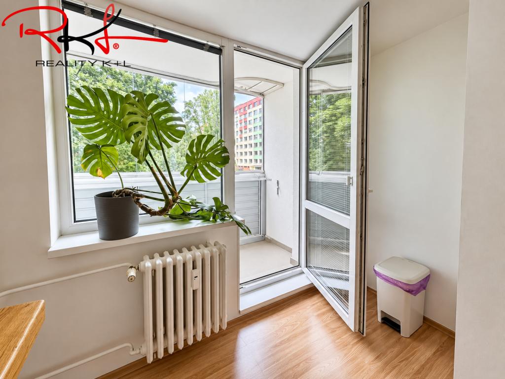 Pronájem bytu 3+kk 70 m2, Mladá Boleslav – náhled fotky 8