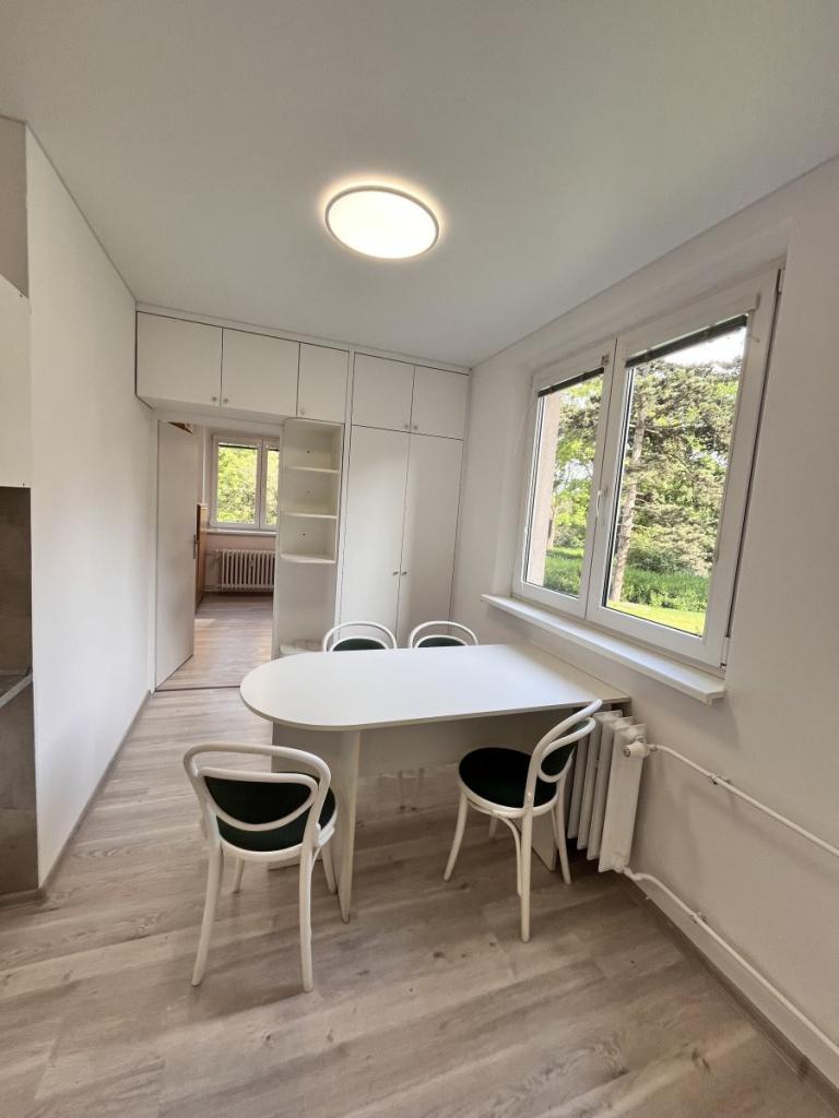 Pronájem bytu 3+1 63 m2