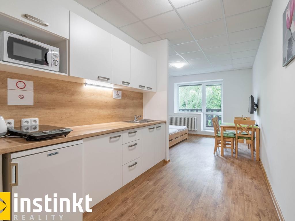 Pronájem bytu 1+kk 35 m2