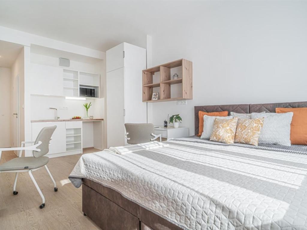 1-room apartment for rent · 20 m² · Praha — 804 €/mo