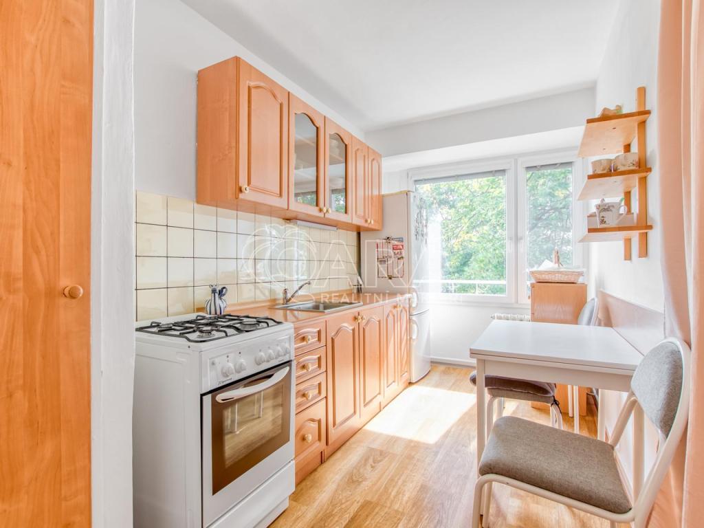 Pronájem bytu 3+1 55 m2