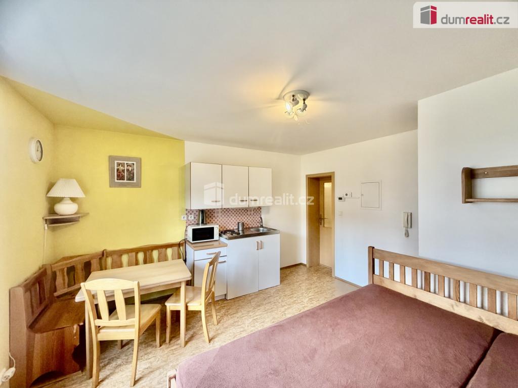 Pronájem bytu 1+kk 25 m2