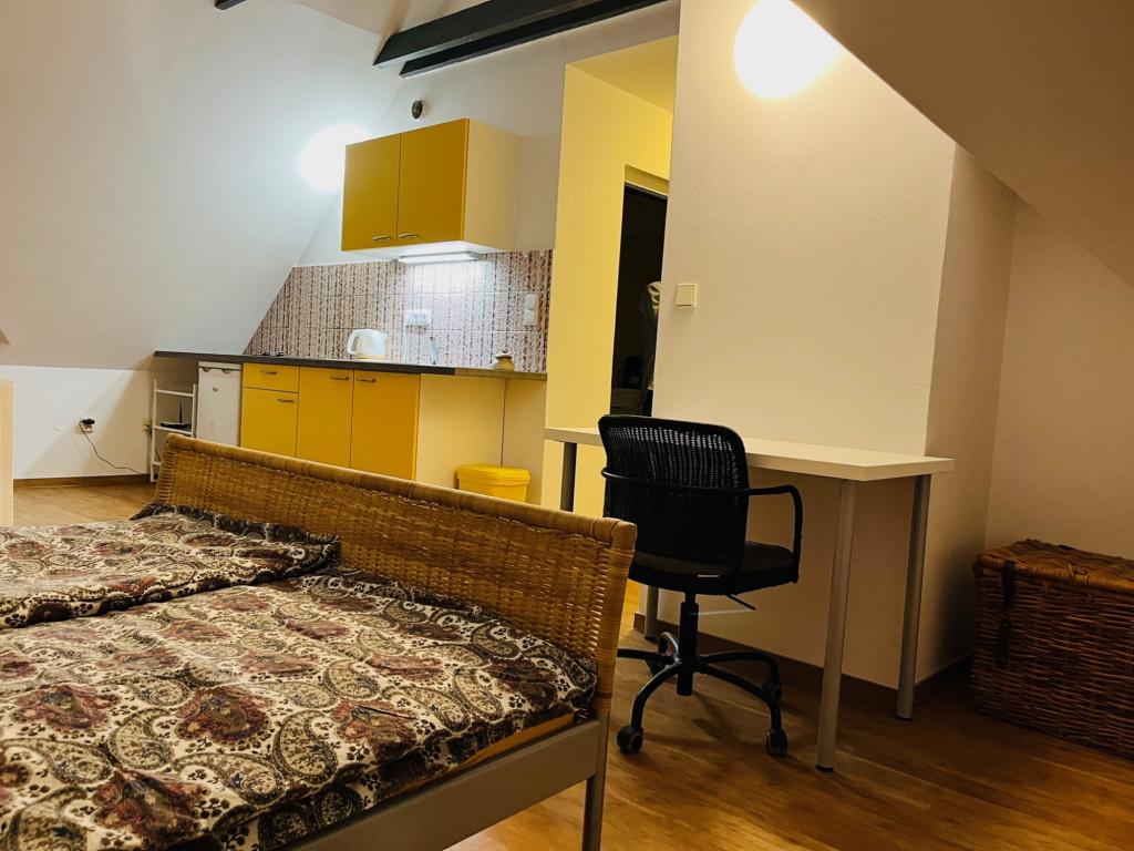 Pronajem bytu 1+kk 32 m2