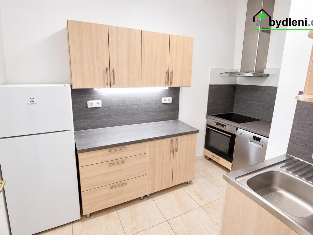 Pronájem bytu 2+1 53 m2
