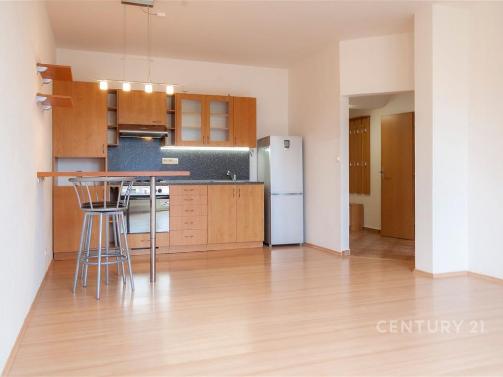 Pronájem bytu 2+kk 54 m2