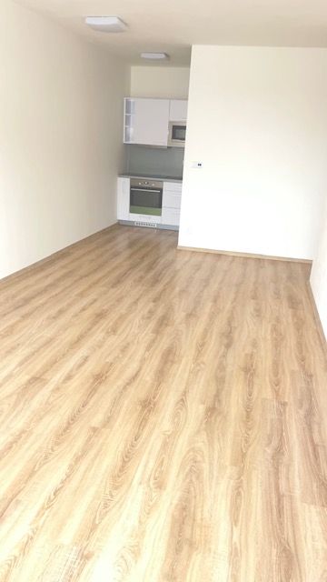 Pronajem bytu 2+kk 63 m2