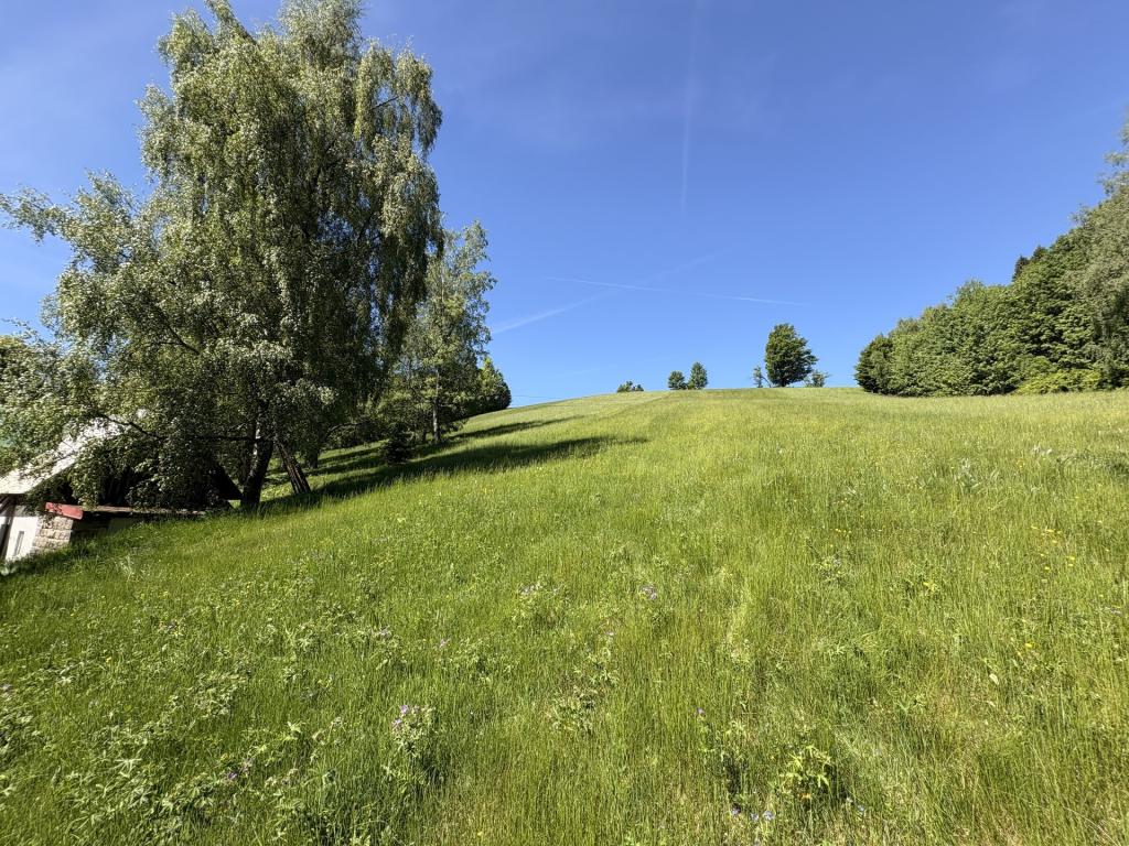 Prodej domu 280 m2, Smržovka – náhled fotky 13