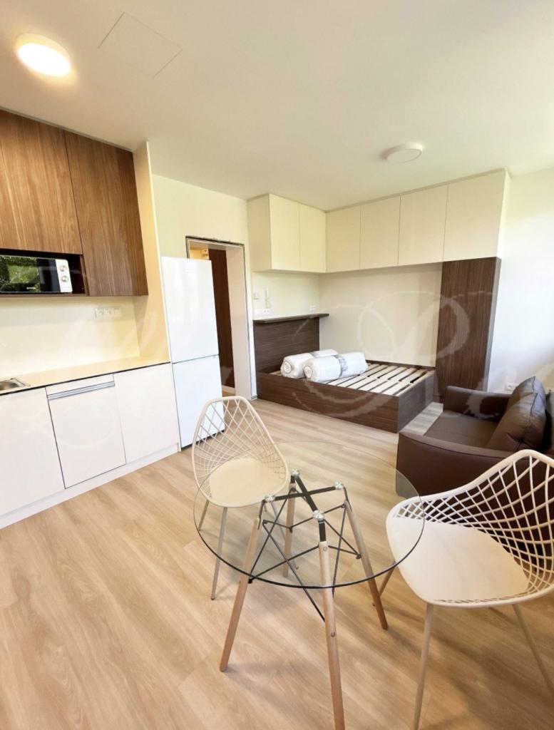Pronájem bytu 1+kk 30 m2