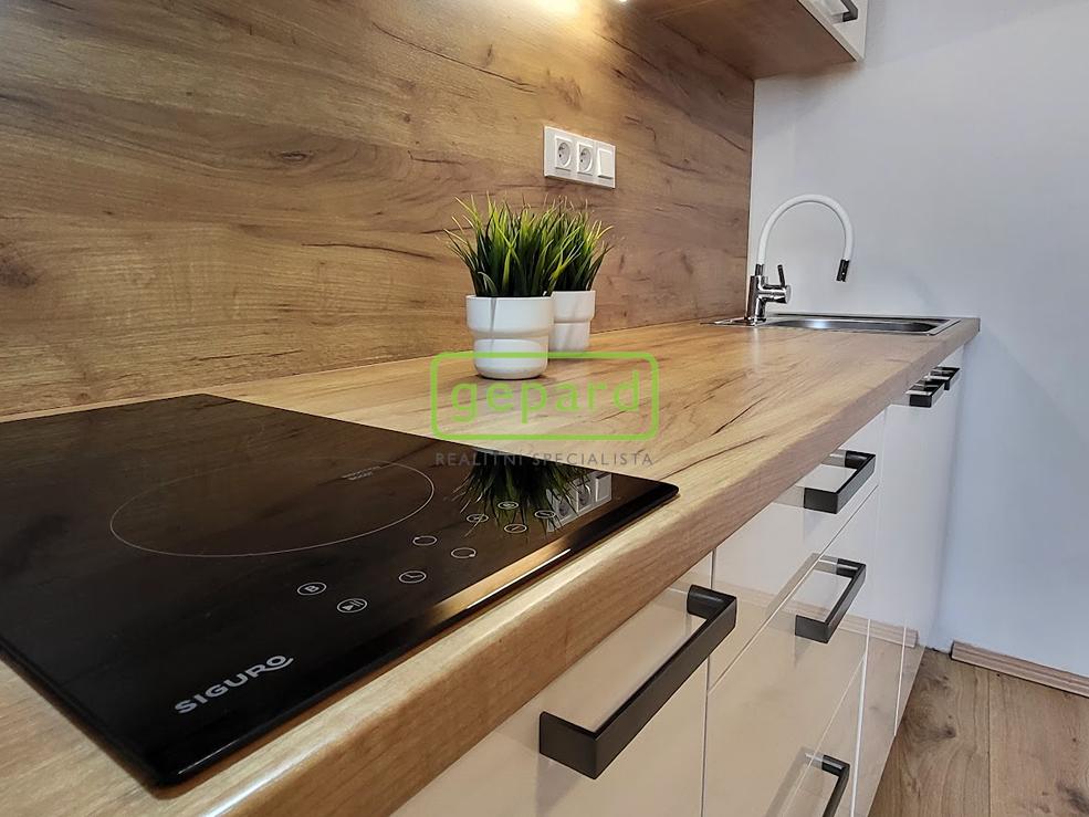 Pronájem bytu 1+1 39 m2