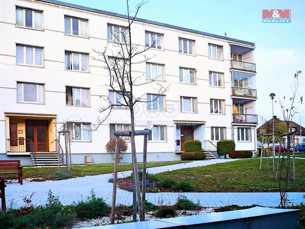 Pronajem bytu 2+1 65 m2