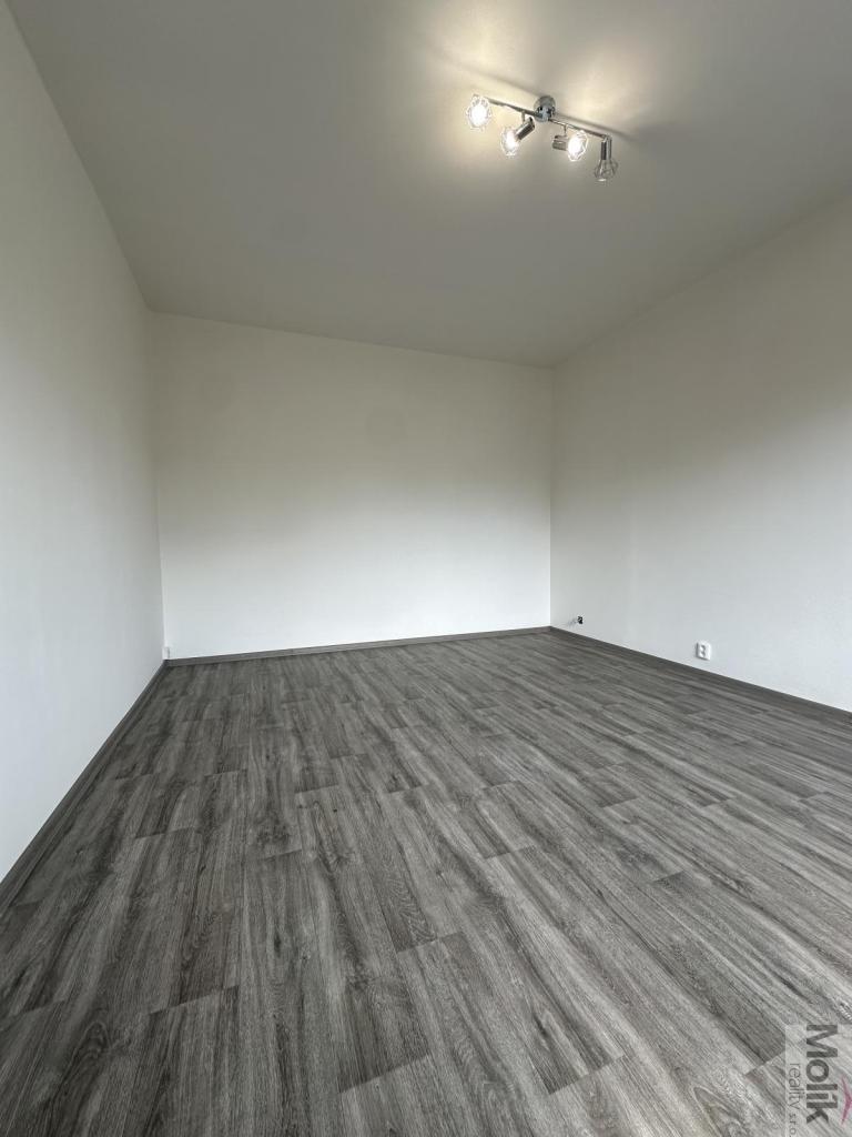 Pronájem bytu 1+1 36 m2