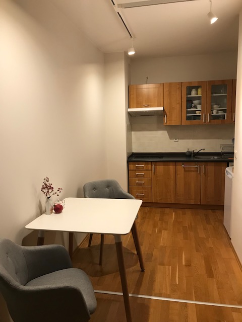 Pronájem bytu 2+kk 56 m² – další