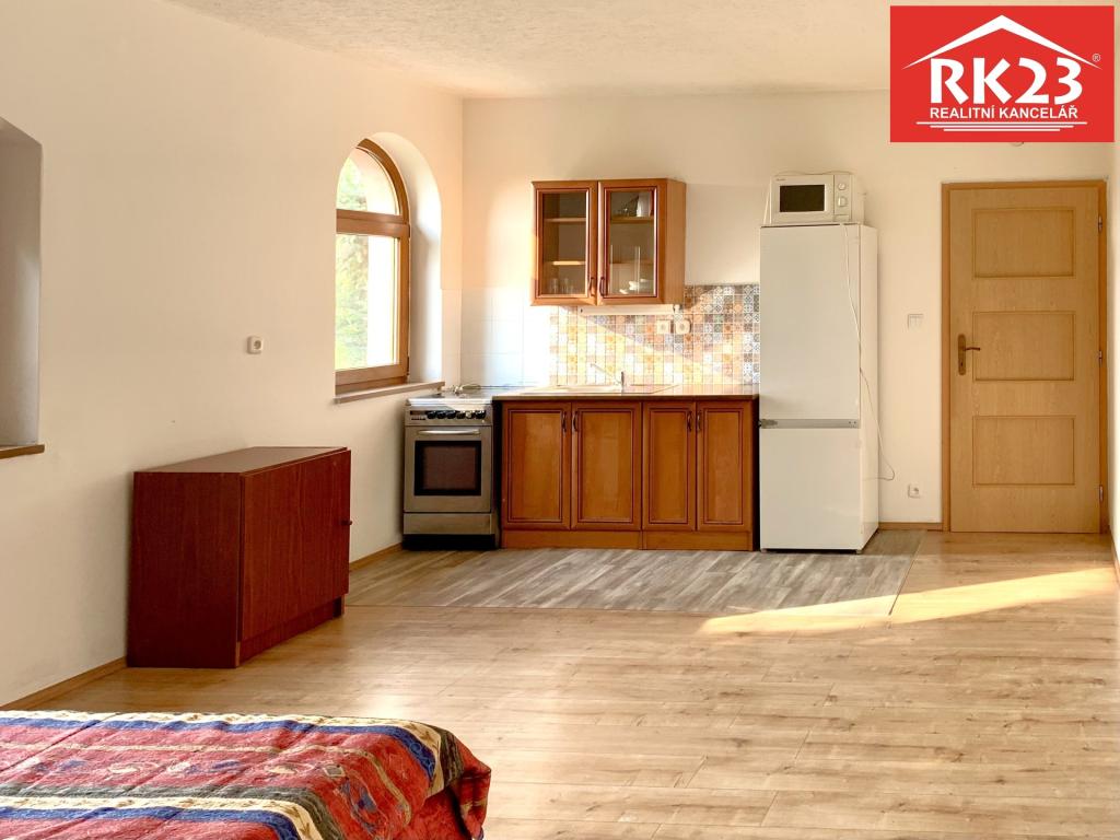 Pronájem bytu 1+kk 40 m2