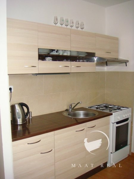 Pronajem bytu 1+1 40 m2