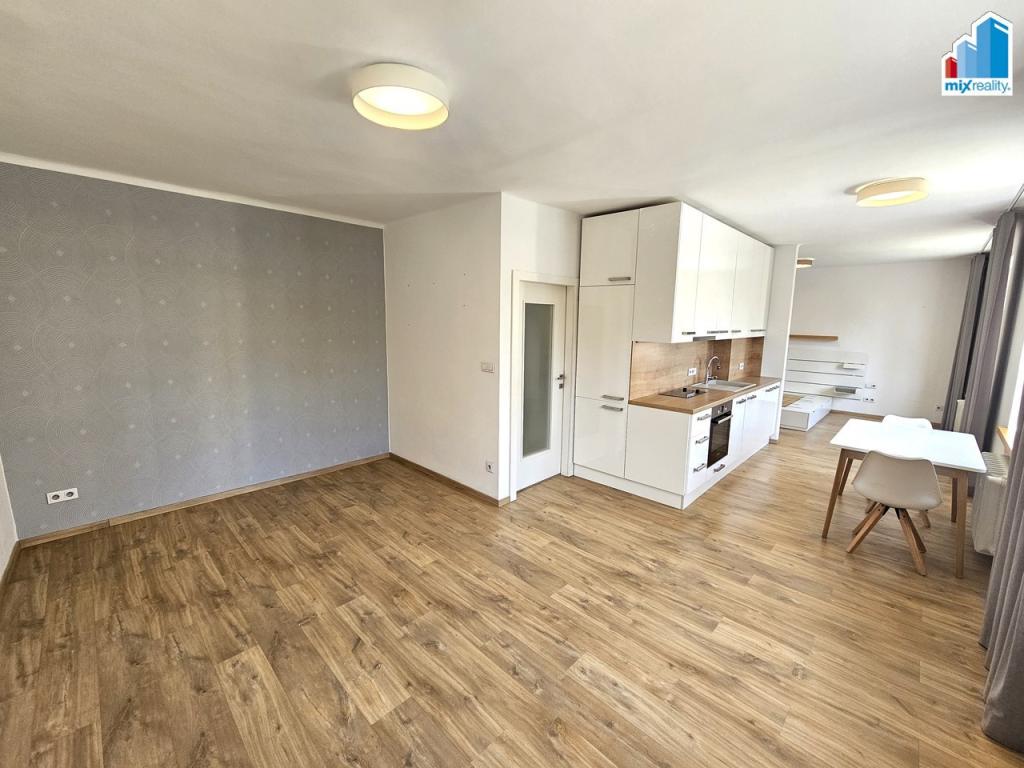 Pronájem bytu 1+kk 54 m2