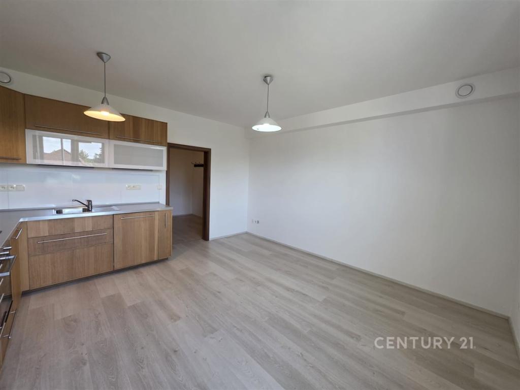 Pronájem bytu 2+kk 59 m2