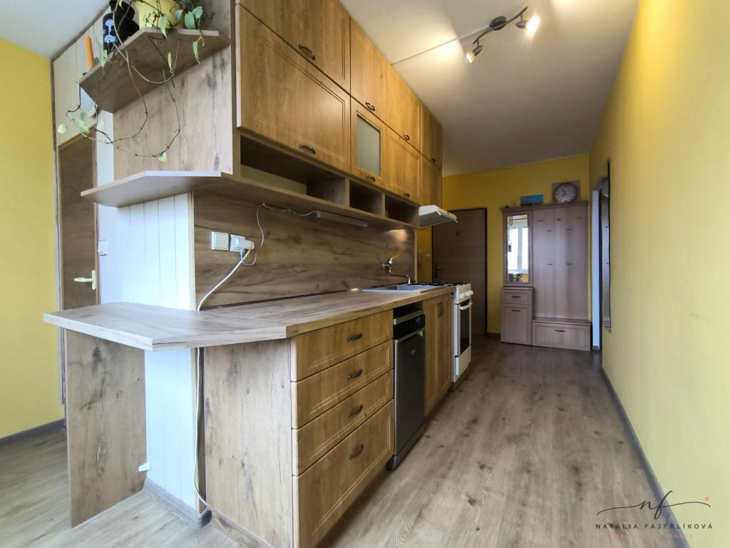 Pronájem bytu 2+1 55 m2