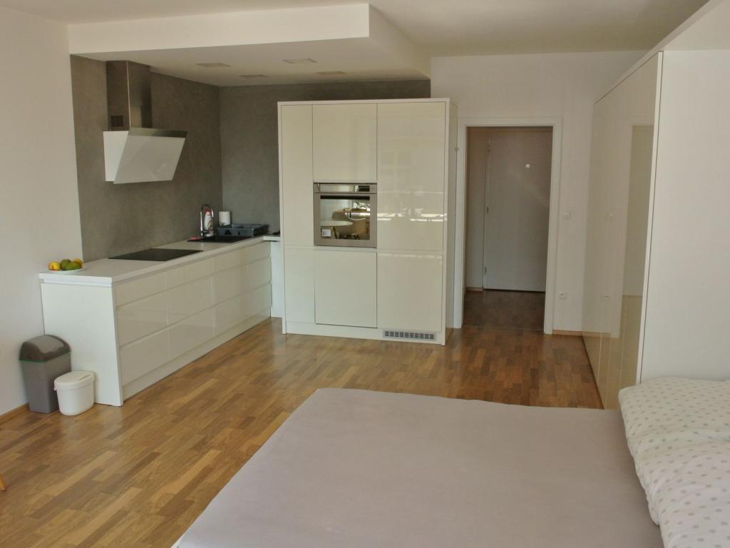 Pronájem bytu 1+kk 42 m2