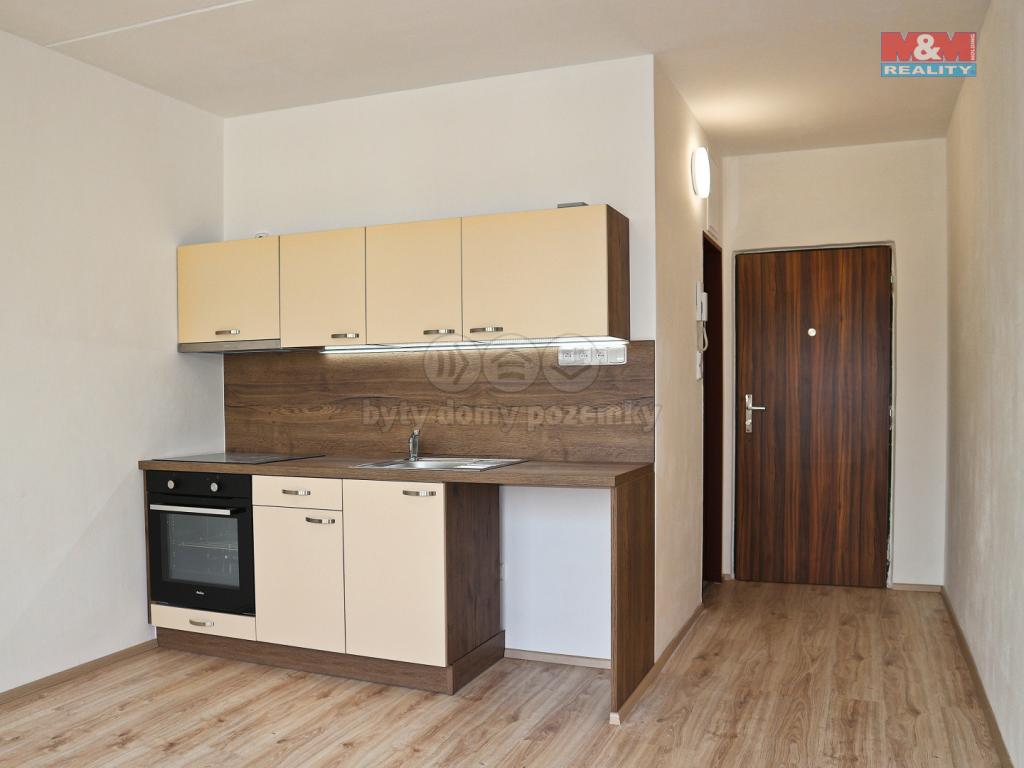 Pronajem bytu 1+1 40 m2