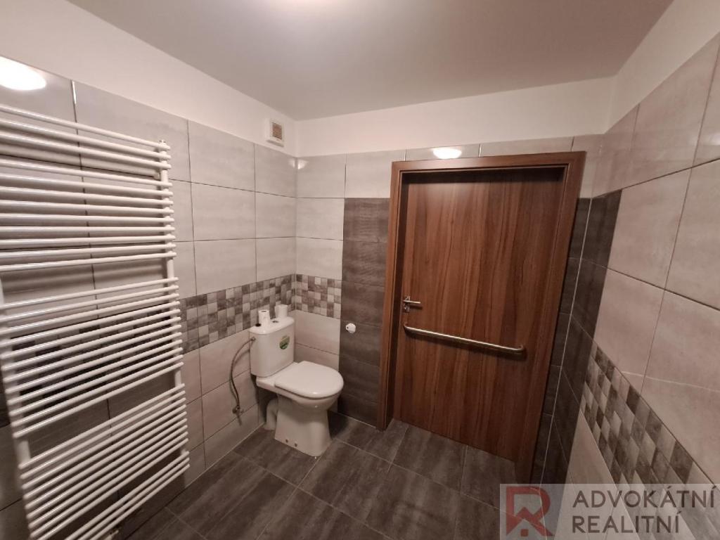 Pronájem bytu 1+kk 33 m2
