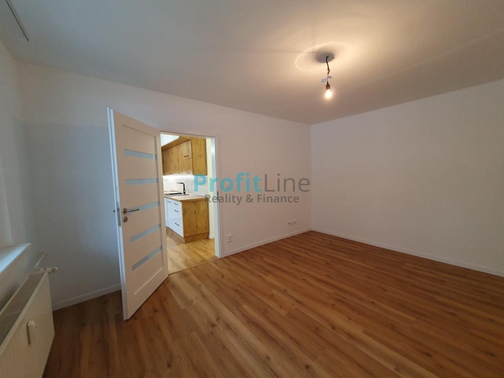 Pronájem bytu 2+1 55 m2