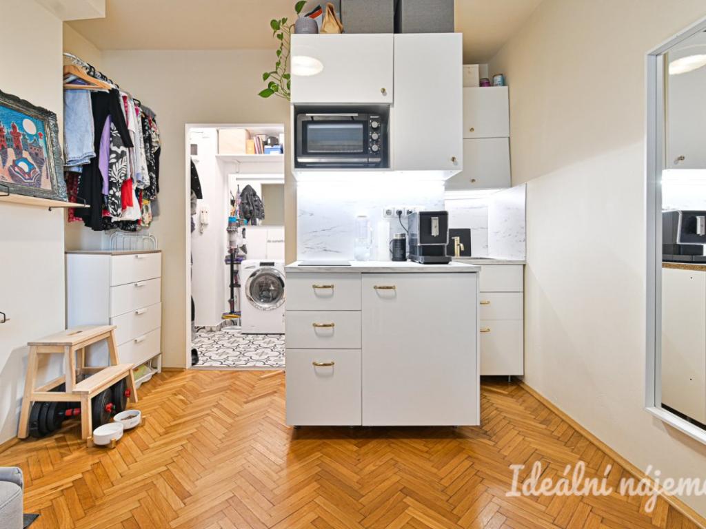 Pronájem bytu 1+kk 20 m2