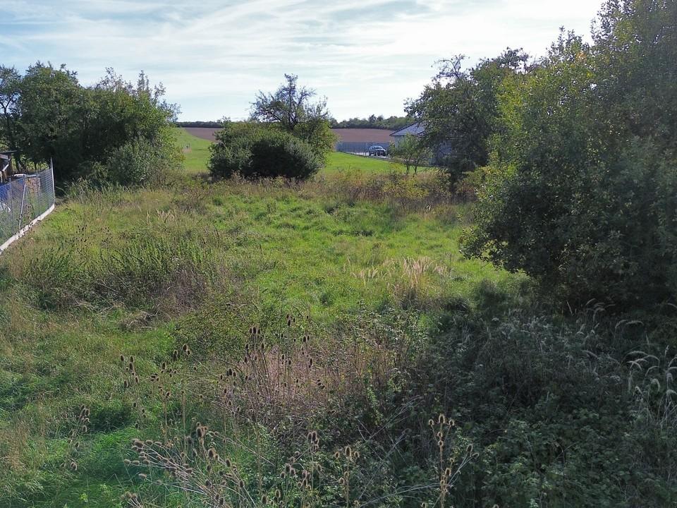 Prodej pozemku 1613 m2, Přehýšov – náhled fotky 16