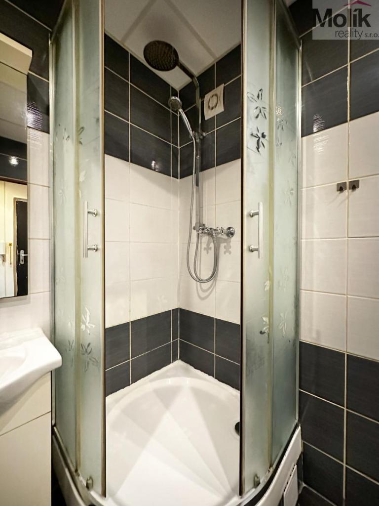 Pronájem bytu 1+1 34 m2