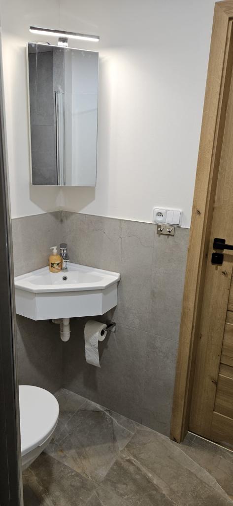 1+1 Apartment in Ostrava - View 5