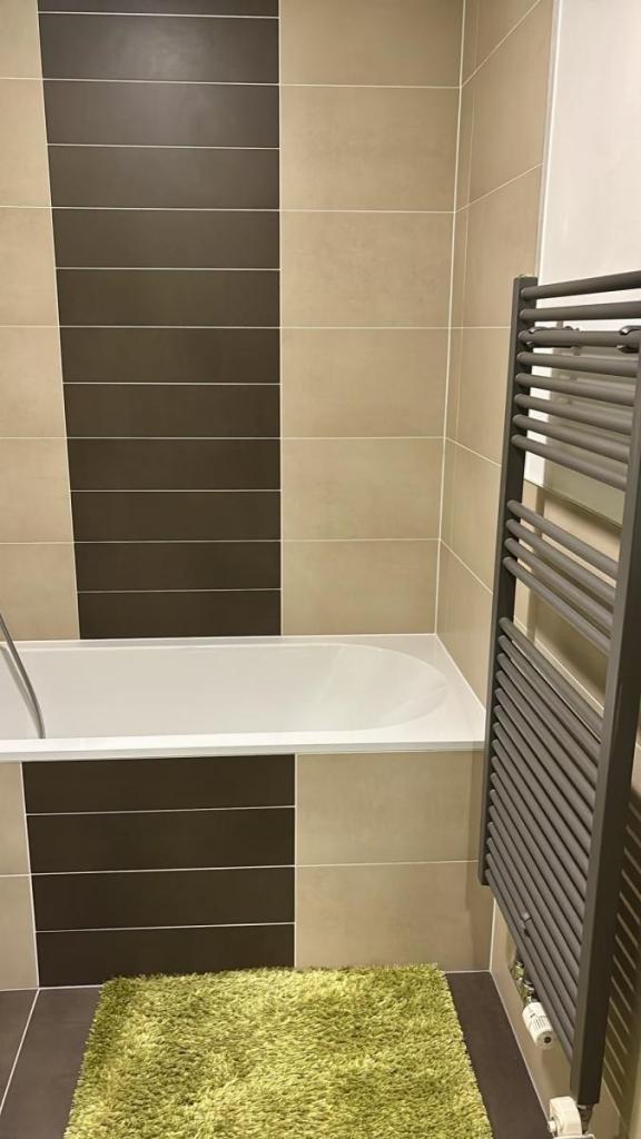 Pronájem bytu 1+kk 36 m2