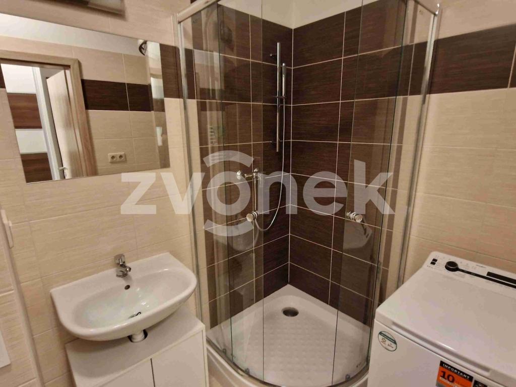 Pronájem bytu 1+kk 30 m2