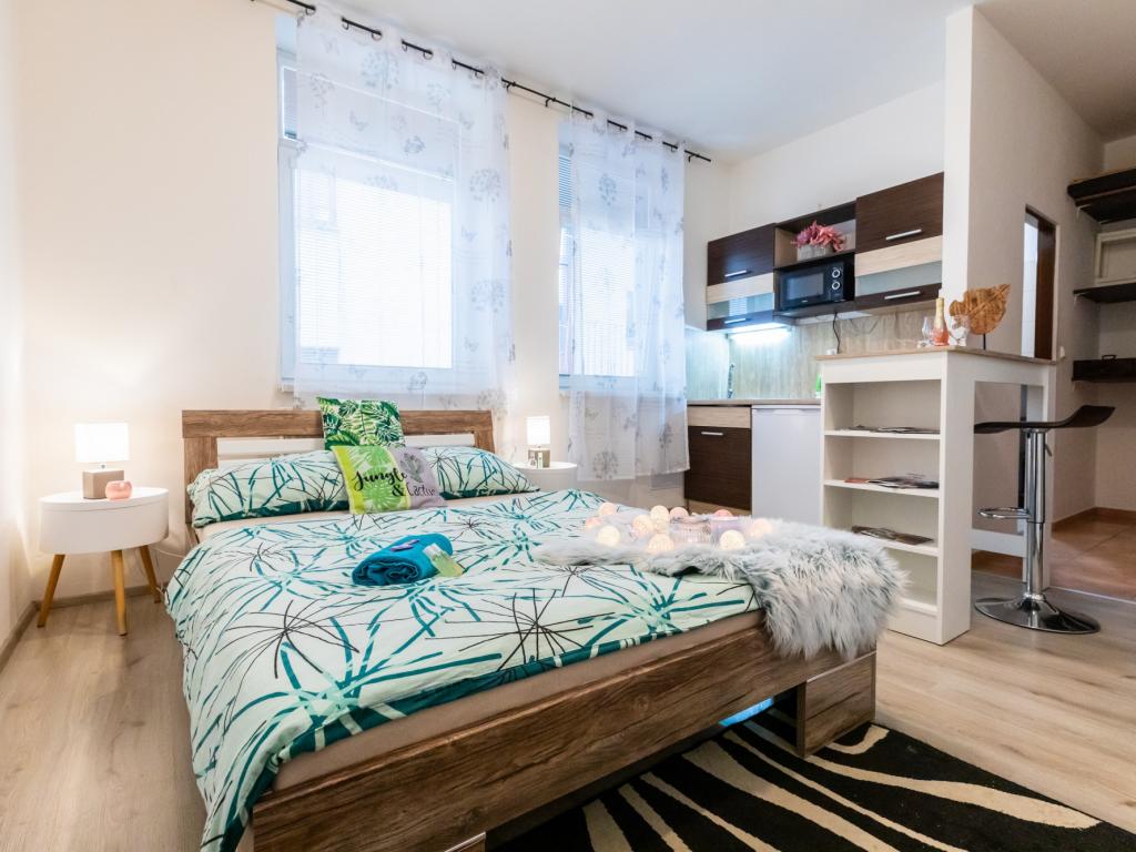 Pronajem bytu 1+kk 31 m2