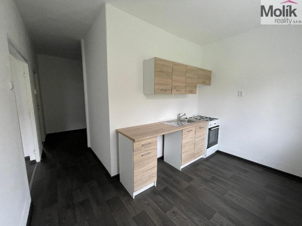 Pronájem bytu 2+1 55 m2