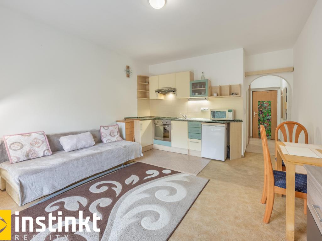 Pronájem bytu 1+kk 30 m2