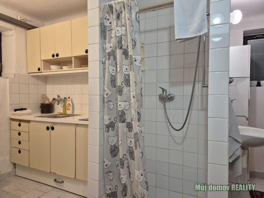 Pronájem bytu 1+1 35 m2