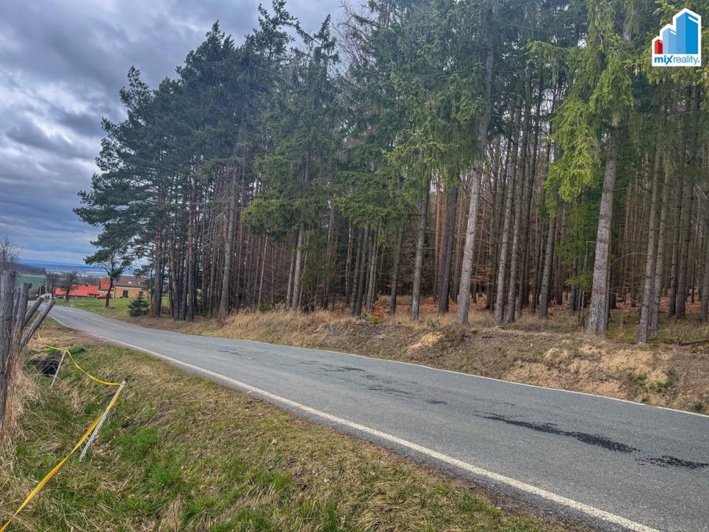 Prodej pozemku 1962 m2, Příchovice – náhled fotky 9